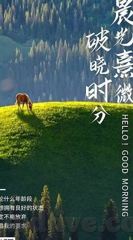 7m足球即时比分-7m足球即时比分，球迷的实时战场，激情与数据的交响曲