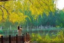 bet007足球即时比分比分-Bet007足球即时比分，球迷的实时战场，数据背后的足球盛宴