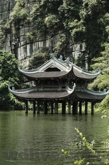 播快吧足球比分-深度解析，播快吧足球比分——球迷的实时信息宝库与观赛新体验
