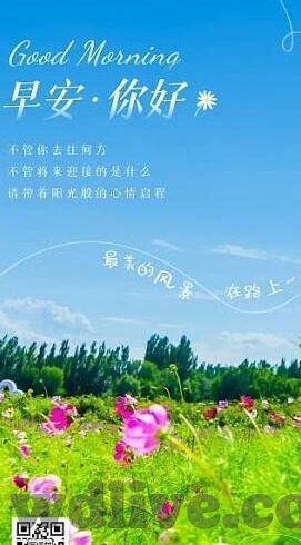大1足球比分-大1足球比分，激情与策略交织的绿茵盛宴