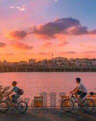 足球反比分系统-揭秘足球反比分系统，数据时代的另类预测艺术